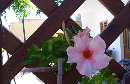 Guest House Oleandro - Foto 80