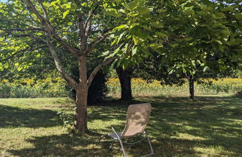 Maison au calme en Dordogne - Foto 8