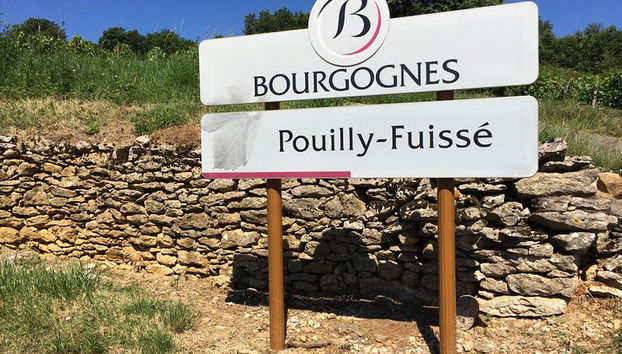 Tour enológico por el sur de Borgoña - Tour compartido de día completo desde Lyon - Foto 2