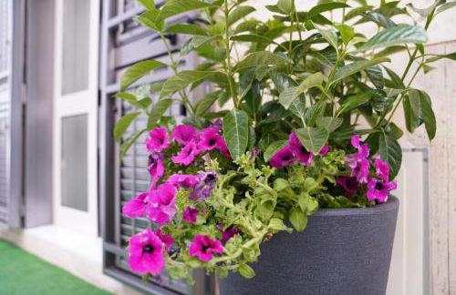 Natola's Home - Foto 12