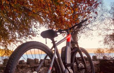 Corralea Cottages - Foto 31