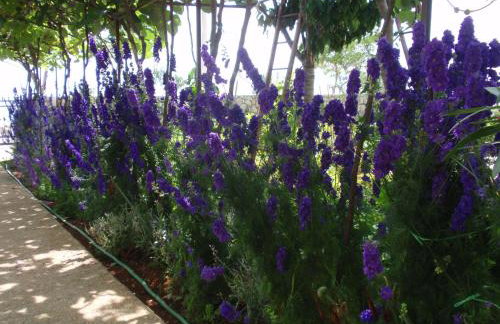 Apartments Ivan Sea View in Peaceful Lun - Photo 75