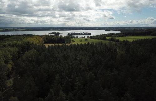 Mieszkanie nad jeziorem Rydzówka+prywatny staw+plaża+Mazury - Foto 9