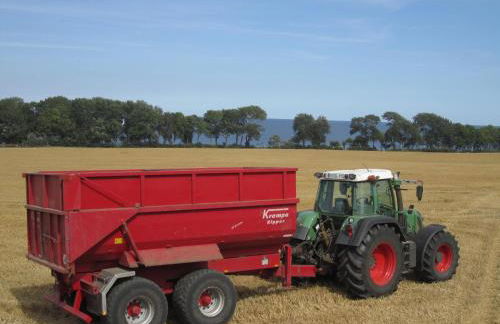 Ferienbauernhof Liesenberg Meerblickhaus Strandmuschel - Foto 49