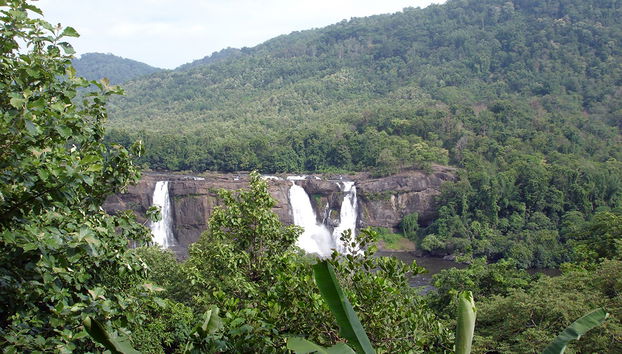 Excursion to Athirapally waterfalls - private - Foto 4