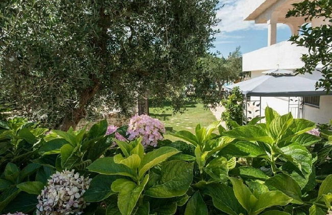 Residenza Aurora - Foto 45