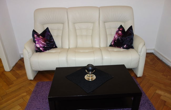 Tolstov-Hotels Large 3,5 Room Apartment - Foto 53