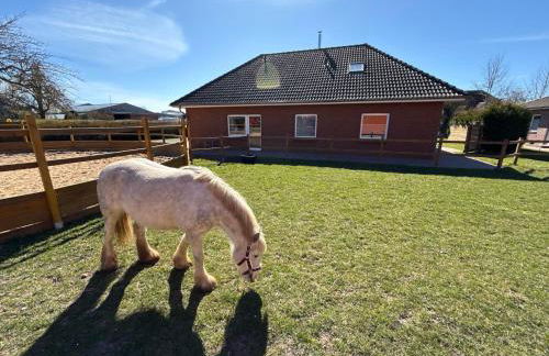 Bauernhof Claussen Fehmarn - Foto 30