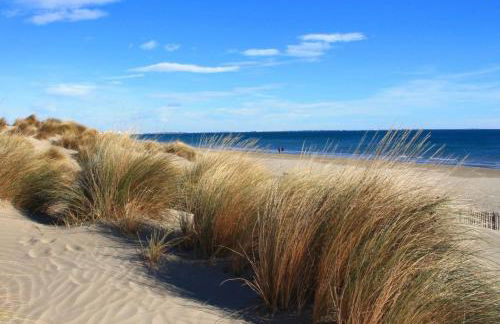 Studio Récent Prés d'Arènes Terrasse Wifi parking privé - Foto 17