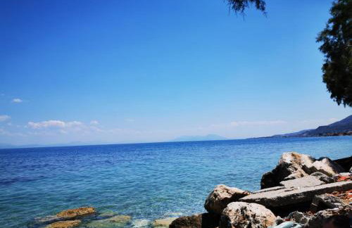 Dimos Apartments - Foto 7