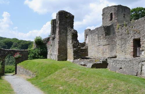 Jinney Ring - Foto 12