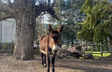 Chalet Lawà - Foto 16