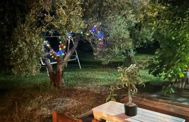 Green Olive Studios - Photo 44