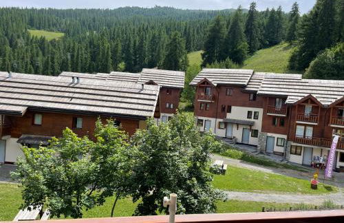 Puy St Vincent 1800 au pied des pistes - Foto 10