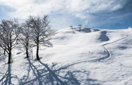 Rifugio Camparient - Foto 34
