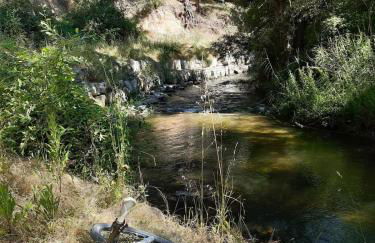 ALMA de la RIBERA - Foto 42