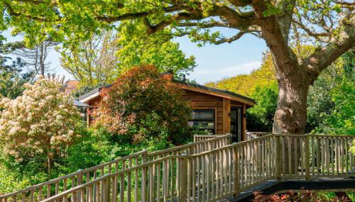 The Shrubbery Treehouse Park Facilities - Photo 4, Other