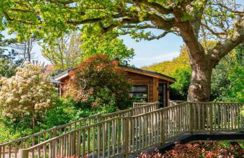 The Shrubbery Treehouse Park Facilities - Photo 4