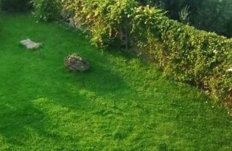 White Hill Platanos - Photo 16