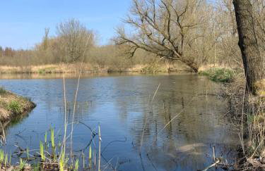 Eiderperle - Foto 64