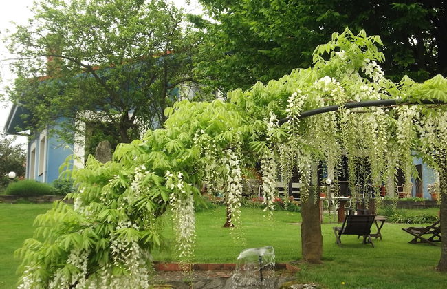 Son de Mar Hotel rural & Apartamento - Foto 50