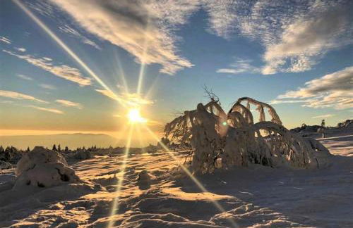Ferienwohnung Heide - Foto 30