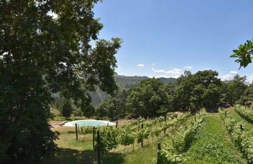 Quinta de S. Cipriano - Foto 14