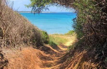 La Maison d'Eugenia - Foto 21