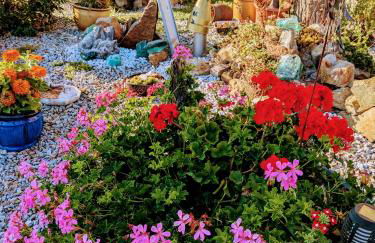 Ponyhof Adam Urlaub auf dem Bauernhof - Foto 75