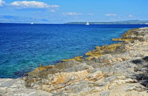 House Villa Marijeta - Foto 19