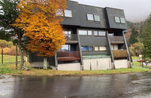 Confortable F2 bis avec balcon au pied des pistes et parking, Mont-Dore - FR-1-415-170 - Foto 9