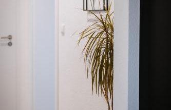 Kleine gemütliche Wohnung - Foto 1