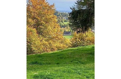 Country house on the Dachsberg - Foto 17