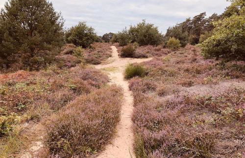 Idyllische Familien-Oase - Foto 27