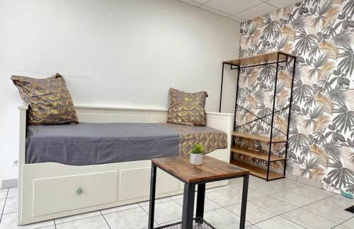 Le petit Penon ~ T1 Bis avec parking /clim /Fibre - Foto 7