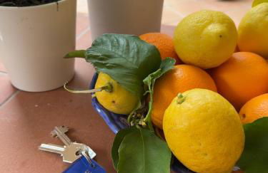 Maison Mele Ischia - Foto 2