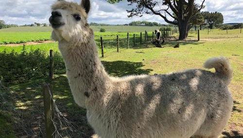 Sandhill House - Photo 5