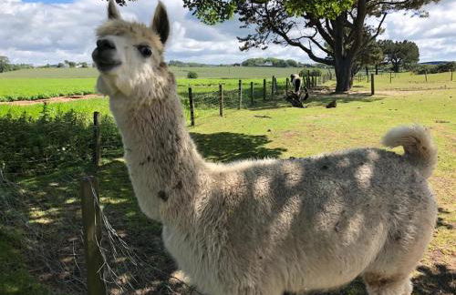 Sandhill House - Photo 5