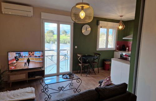 Studio Climatisé Parking Gratuit - Foto 1