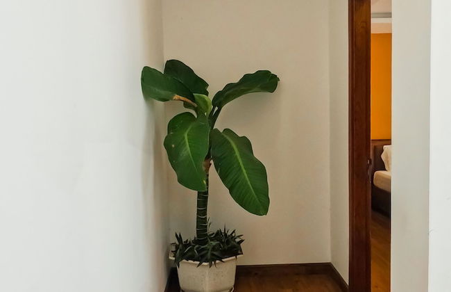 Benzen Villas Nha Trang - Foto 8