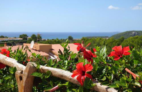 Villas Menorca Sur - Foto 19