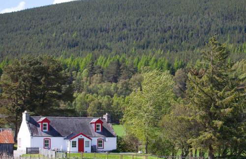 The Croft Cottage - near Aviemore - Foto 1