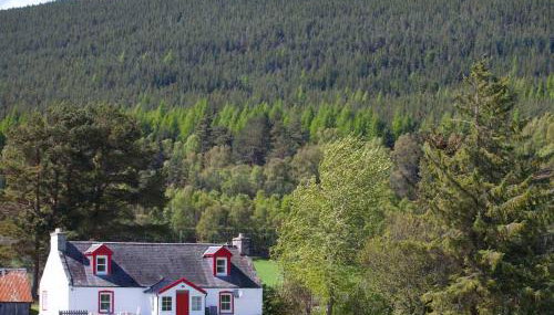 The Croft Cottage - near Aviemore - Foto 1