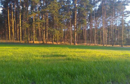 Siedlisko Na Szlaku Odry - Foto 33