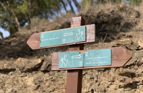 San Patricio 7 - Photo 44