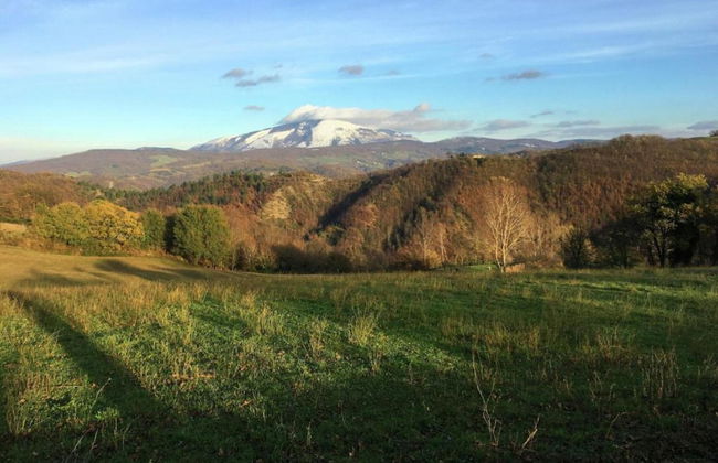 Timeless Holiday Home in Apecchio With Garden - Photo 55