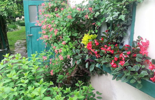 Apartment Under Cedar - Foto 34