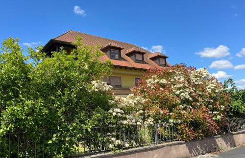 Ferienwohnung ErVino - Foto 24