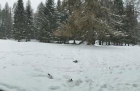 Villa Larici piano terra - Foto 16