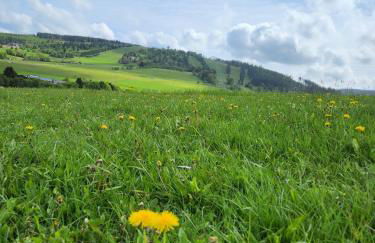 Haus Nina near Willingen and Winterberg - Foto 51